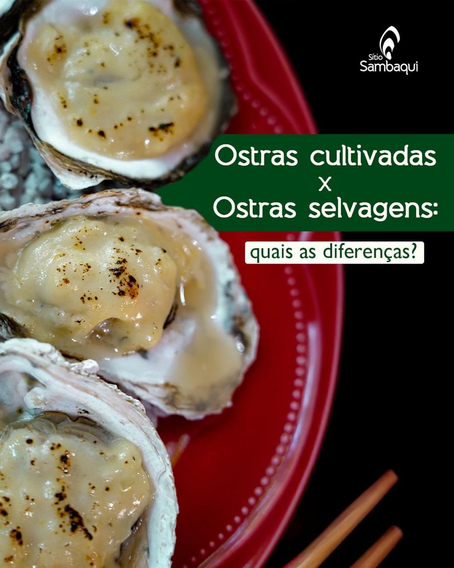 Sítio Sambaqui Ostras & SUP